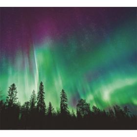 TAP -- Wall Covering Fabric (Option: TAP060-150x170cm)