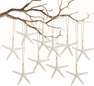 20 PCS Christmas Starfish Hanging Ornaments 3-4'' Natural Starfish With Rope (Option: White)
