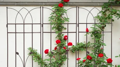 4 Pack Metal Garden Trellis 71" X 17.7" Rustproof Trellis For Climbing Plants Outdoor Flower Support (Option: BROWN)