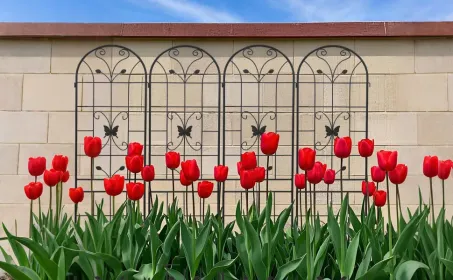 4 Pack Metal Garden Trellis 86.7" X 19.7" Rustproof Trellis For Climbing Plants Outdoor Flower Support (Option: black)