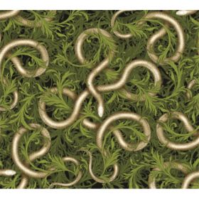 TAP -- Wall Covering Fabric (Option: TAP077-150x170cm)